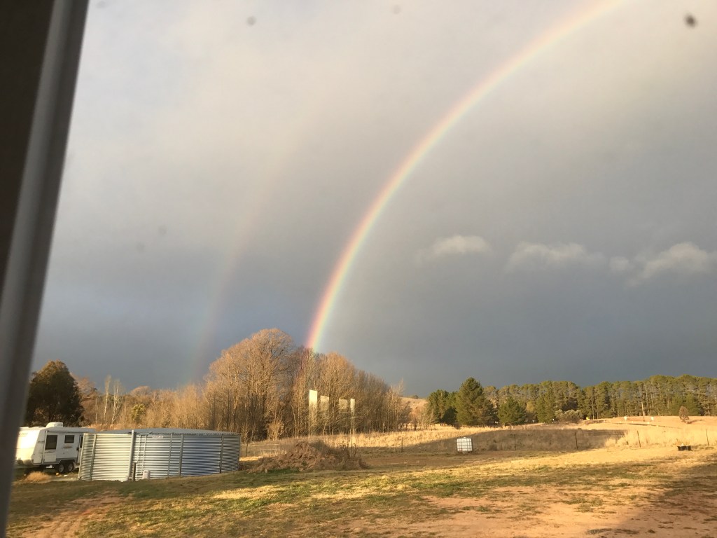 The Shed House – Part&nbsp;1