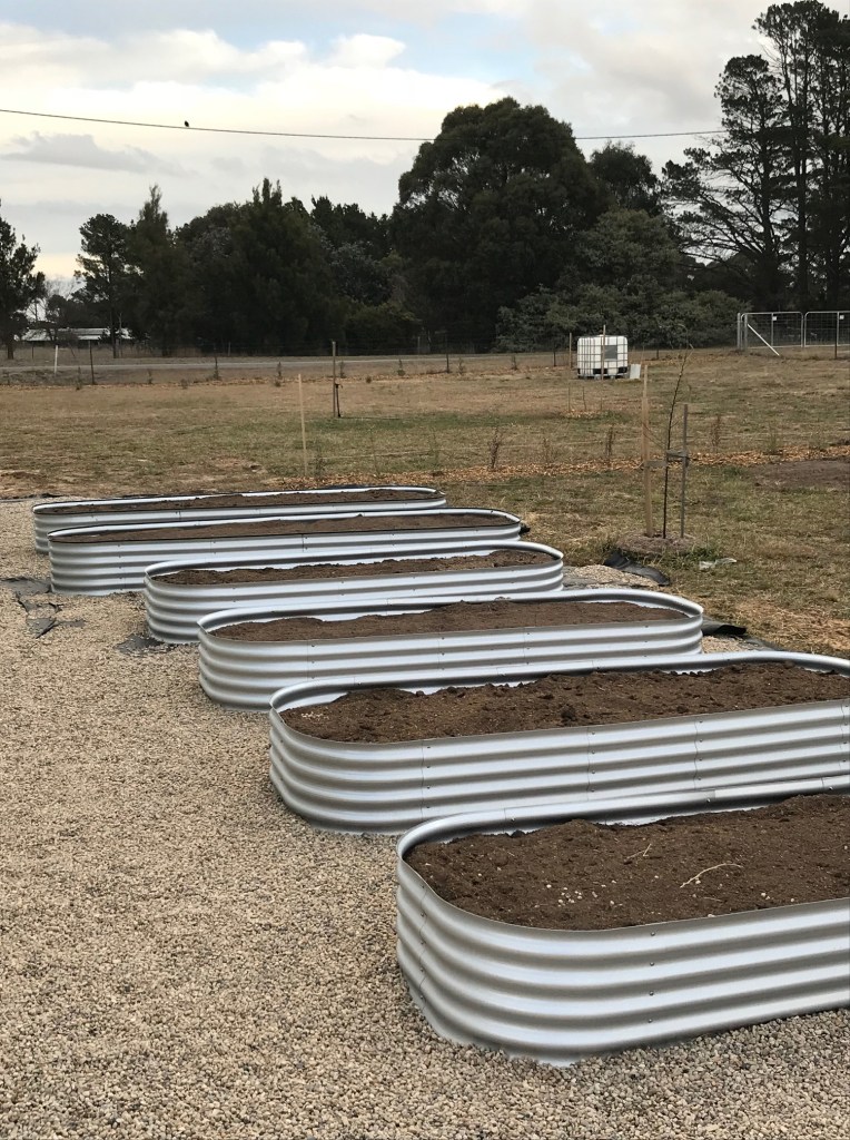 Landscaping Our paddock Countrified landscaping-our-paddock-countrified